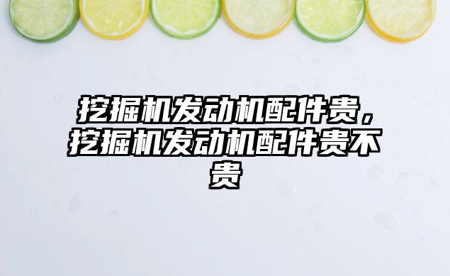 挖掘機發(fā)動機配件貴，挖掘機發(fā)動機配件貴不貴