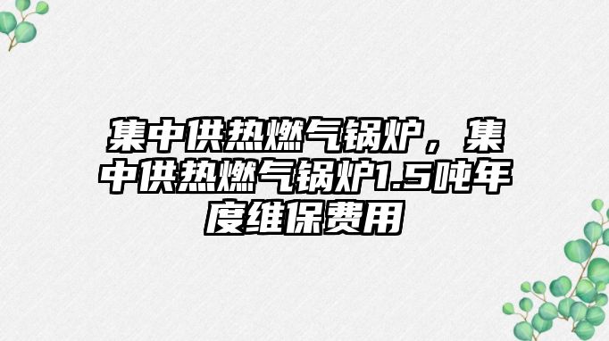 集中供熱燃氣鍋爐，集中供熱燃氣鍋爐1.5噸年度維保費用