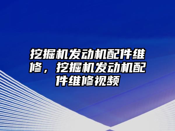 挖掘機發(fā)動機配件維修，挖掘機發(fā)動機配件維修視頻