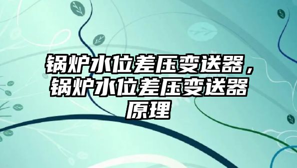 鍋爐水位差壓變送器，鍋爐水位差壓變送器原理