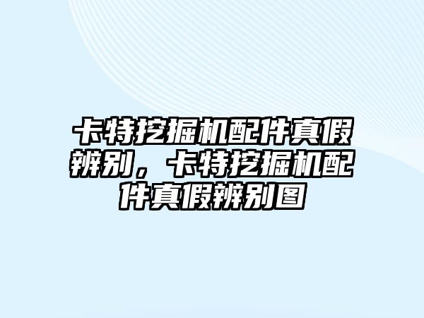 卡特挖掘機配件真假辨別，卡特挖掘機配件真假辨別圖