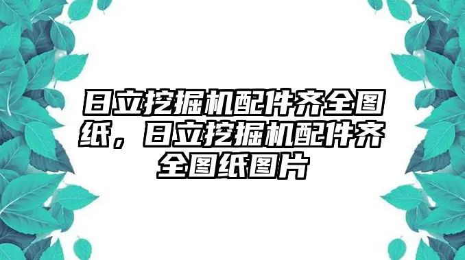 日立挖掘機(jī)配件齊全圖紙，日立挖掘機(jī)配件齊全圖紙圖片