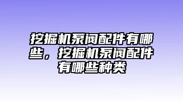 挖掘機(jī)泵閥配件有哪些，挖掘機(jī)泵閥配件有哪些種類(lèi)