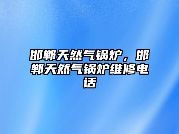 邯鄲天然氣鍋爐，邯鄲天然氣鍋爐維修電話