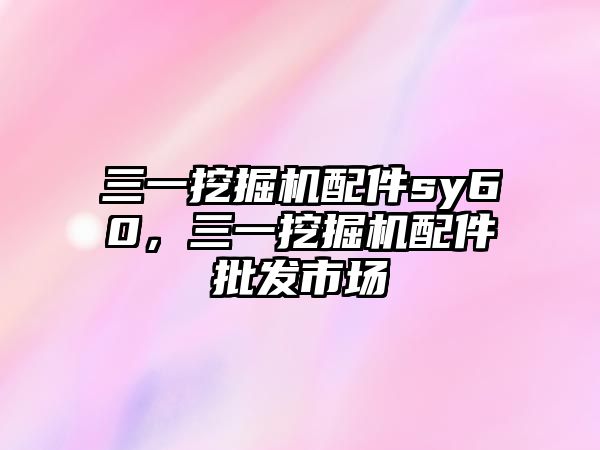 三一挖掘機(jī)配件sy60，三一挖掘機(jī)配件批發(fā)市場(chǎng)