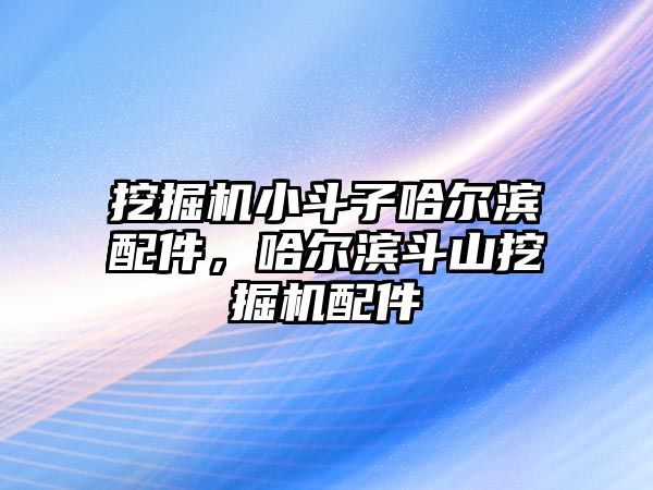 挖掘機(jī)小斗子哈爾濱配件，哈爾濱斗山挖掘機(jī)配件