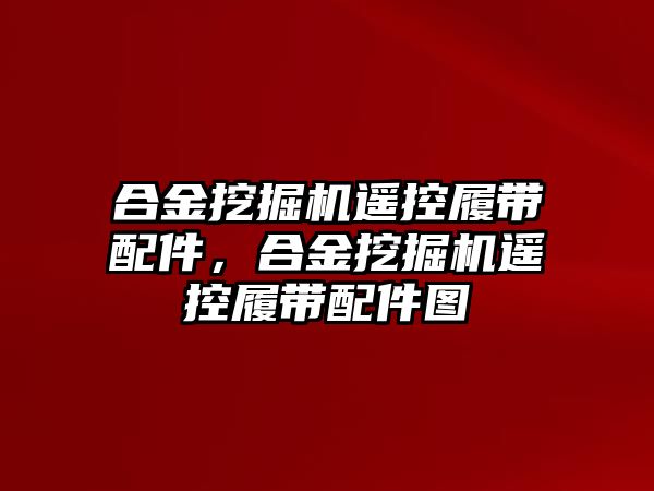 合金挖掘機遙控履帶配件，合金挖掘機遙控履帶配件圖