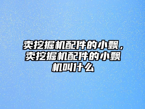 賣挖掘機(jī)配件的小飄，賣挖掘機(jī)配件的小飄機(jī)叫什么