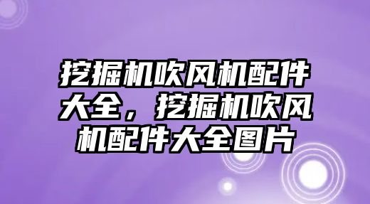 挖掘機吹風(fēng)機配件大全，挖掘機吹風(fēng)機配件大全圖片