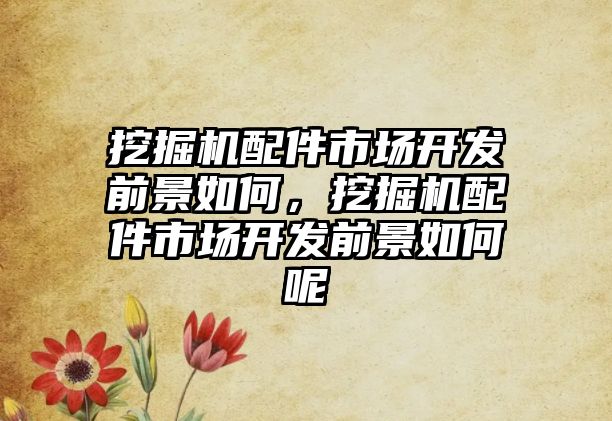 挖掘機配件市場開發(fā)前景如何，挖掘機配件市場開發(fā)前景如何呢