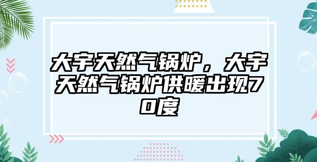 大宇天然氣鍋爐，大宇天然氣鍋爐供暖出現(xiàn)70度