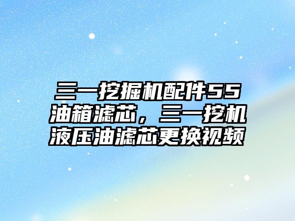 三一挖掘機(jī)配件55油箱濾芯，三一挖機(jī)液壓油濾芯更換視頻