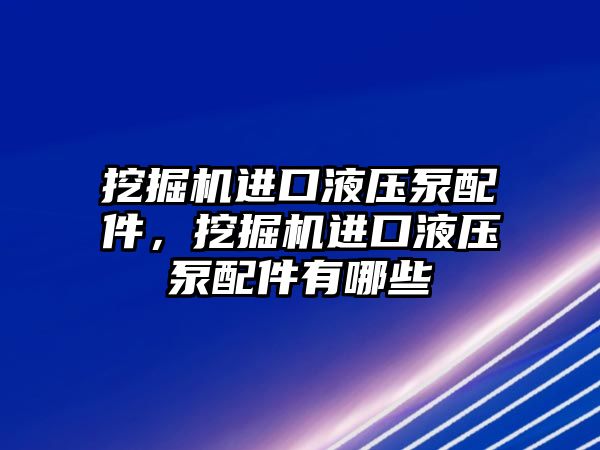 挖掘機進口液壓泵配件，挖掘機進口液壓泵配件有哪些