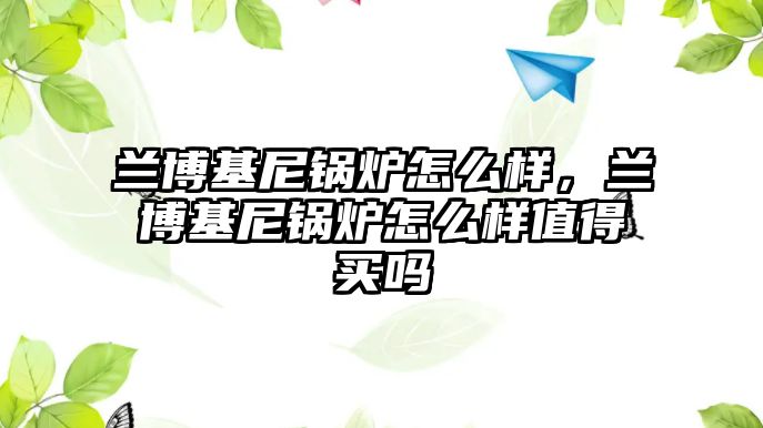 蘭博基尼鍋爐怎么樣，蘭博基尼鍋爐怎么樣值得買嗎