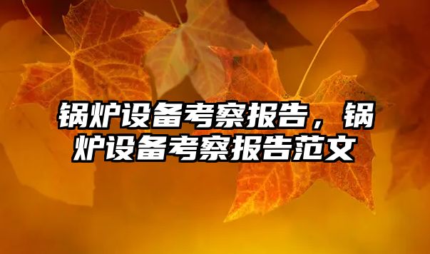 鍋爐設備考察報告，鍋爐設備考察報告范文