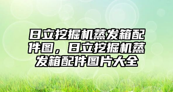 日立挖掘機蒸發(fā)箱配件圖，日立挖掘機蒸發(fā)箱配件圖片大全