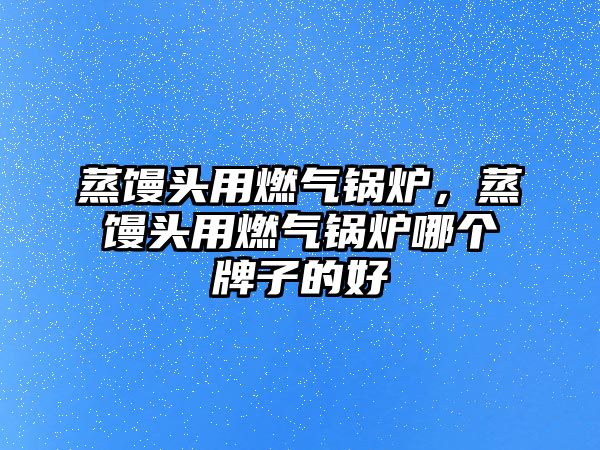 蒸饅頭用燃?xì)忮仩t，蒸饅頭用燃?xì)忮仩t哪個(gè)牌子的好