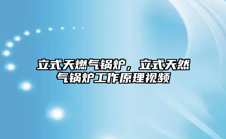 立式天燃?xì)忮仩t，立式天然氣鍋爐工作原理視頻