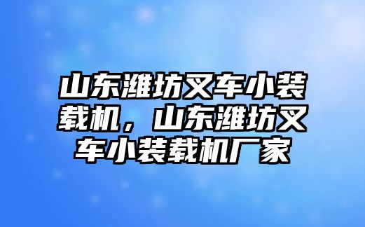 山東濰坊叉車小裝載機(jī)，山東濰坊叉車小裝載機(jī)廠家