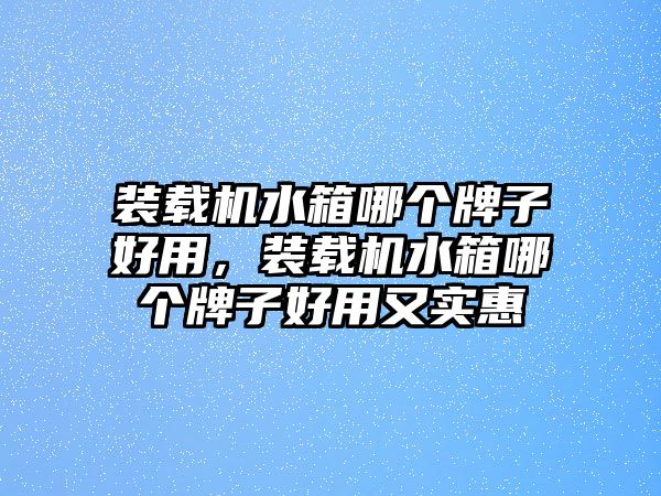 裝載機(jī)水箱哪個牌子好用，裝載機(jī)水箱哪個牌子好用又實(shí)惠