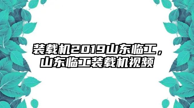 裝載機2019山東臨工，山東臨工裝載機視頻