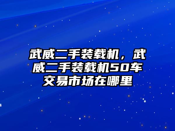 武威二手裝載機(jī)，武威二手裝載機(jī)50車交易市場在哪里