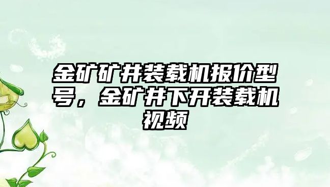 金礦礦井裝載機(jī)報(bào)價(jià)型號(hào)，金礦井下開裝載機(jī)視頻