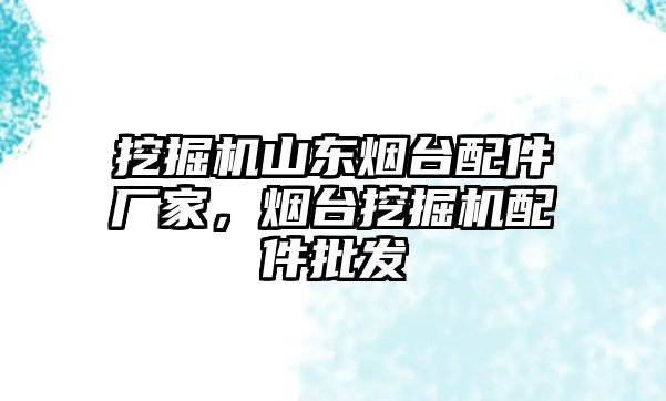 挖掘機山東煙臺配件廠家，煙臺挖掘機配件批發(fā)