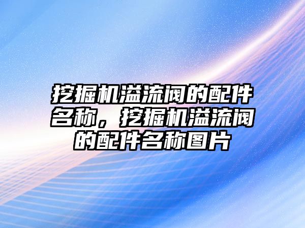 挖掘機(jī)溢流閥的配件名稱，挖掘機(jī)溢流閥的配件名稱圖片