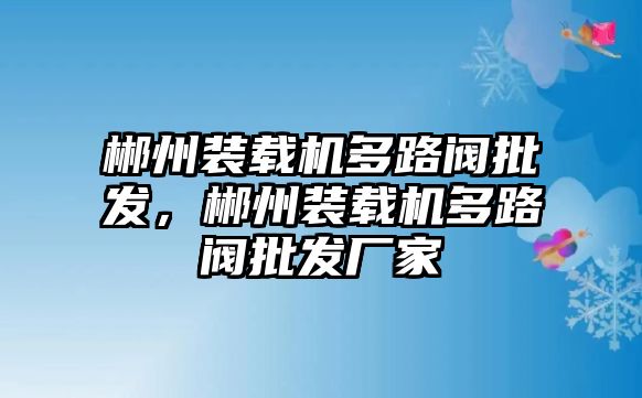 郴州裝載機(jī)多路閥批發(fā)，郴州裝載機(jī)多路閥批發(fā)廠家