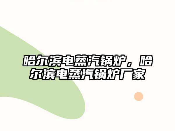 哈爾濱電蒸汽鍋爐，哈爾濱電蒸汽鍋爐廠家