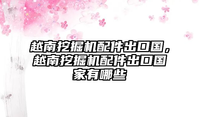 越南挖掘機(jī)配件出口國，越南挖掘機(jī)配件出口國家有哪些