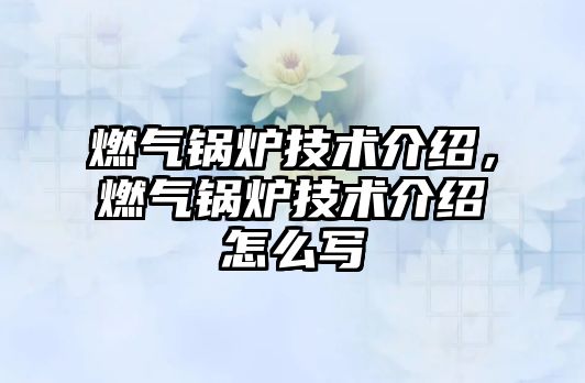 燃?xì)忮仩t技術(shù)介紹，燃?xì)忮仩t技術(shù)介紹怎么寫