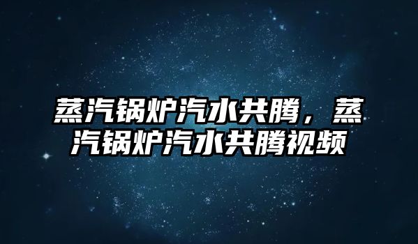 蒸汽鍋爐汽水共騰，蒸汽鍋爐汽水共騰視頻