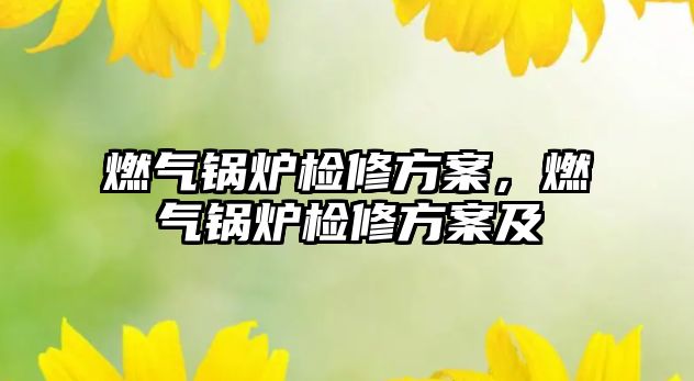 燃氣鍋爐檢修方案，燃氣鍋爐檢修方案及