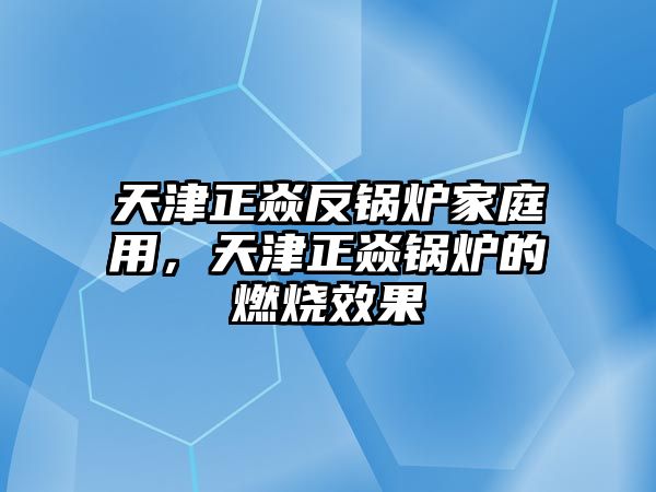 天津正焱反鍋爐家庭用，天津正焱鍋爐的燃燒效果