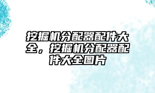 挖掘機(jī)分配器配件大全，挖掘機(jī)分配器配件大全圖片