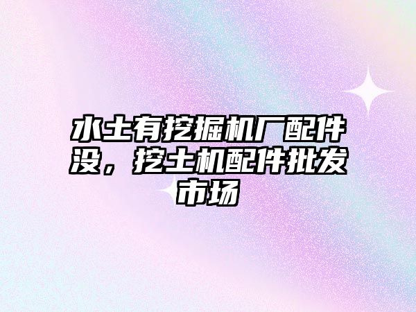 水土有挖掘機(jī)廠配件沒，挖土機(jī)配件批發(fā)市場