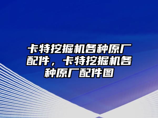 卡特挖掘機(jī)各種原廠配件，卡特挖掘機(jī)各種原廠配件圖