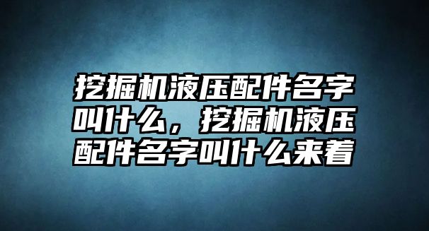 挖掘機(jī)液壓配件名字叫什么，挖掘機(jī)液壓配件名字叫什么來(lái)著