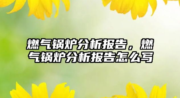 燃氣鍋爐分析報告，燃氣鍋爐分析報告怎么寫