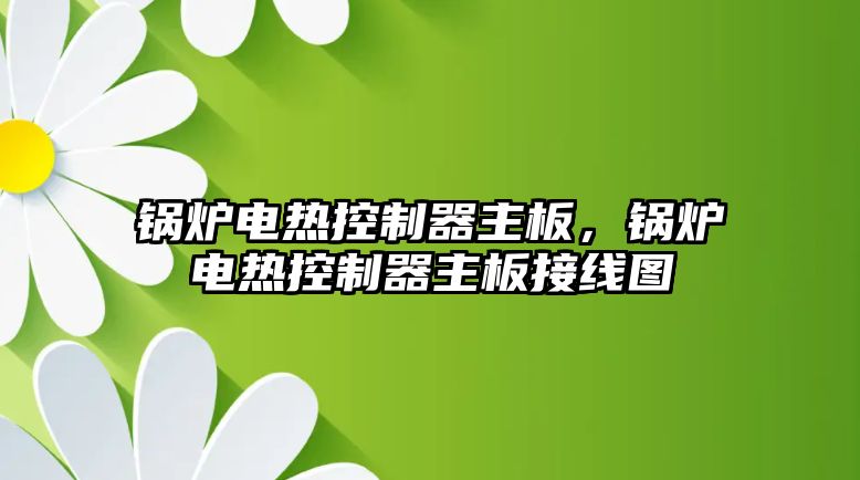 鍋爐電熱控制器主板，鍋爐電熱控制器主板接線圖