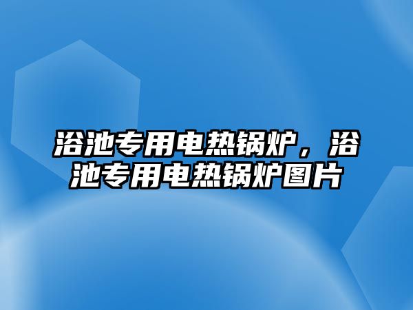 浴池專用電熱鍋爐，浴池專用電熱鍋爐圖片