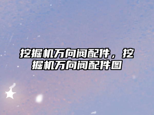 挖掘機萬向閥配件，挖掘機萬向閥配件圖