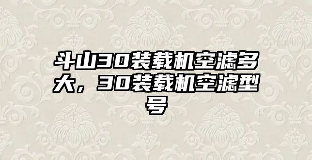 斗山30裝載機(jī)空濾多大，30裝載機(jī)空濾型號(hào)