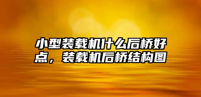 小型裝載機什么后橋好點，裝載機后橋結(jié)構(gòu)圖