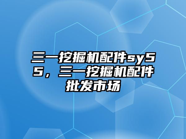 三一挖掘機(jī)配件sy55，三一挖掘機(jī)配件批發(fā)市場