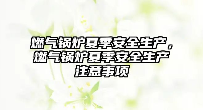 燃?xì)忮仩t夏季安全生產(chǎn)，燃?xì)忮仩t夏季安全生產(chǎn)注意事項(xiàng)