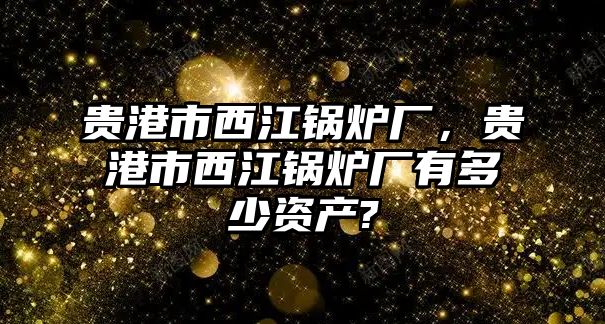 貴港市西江鍋爐廠，貴港市西江鍋爐廠有多少資產(chǎn)?