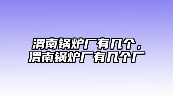 渭南鍋爐廠有幾個(gè)，渭南鍋爐廠有幾個(gè)廠